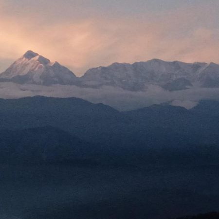 Golden Himalaya Homestay كاوساني المظهر الخارجي الصورة
