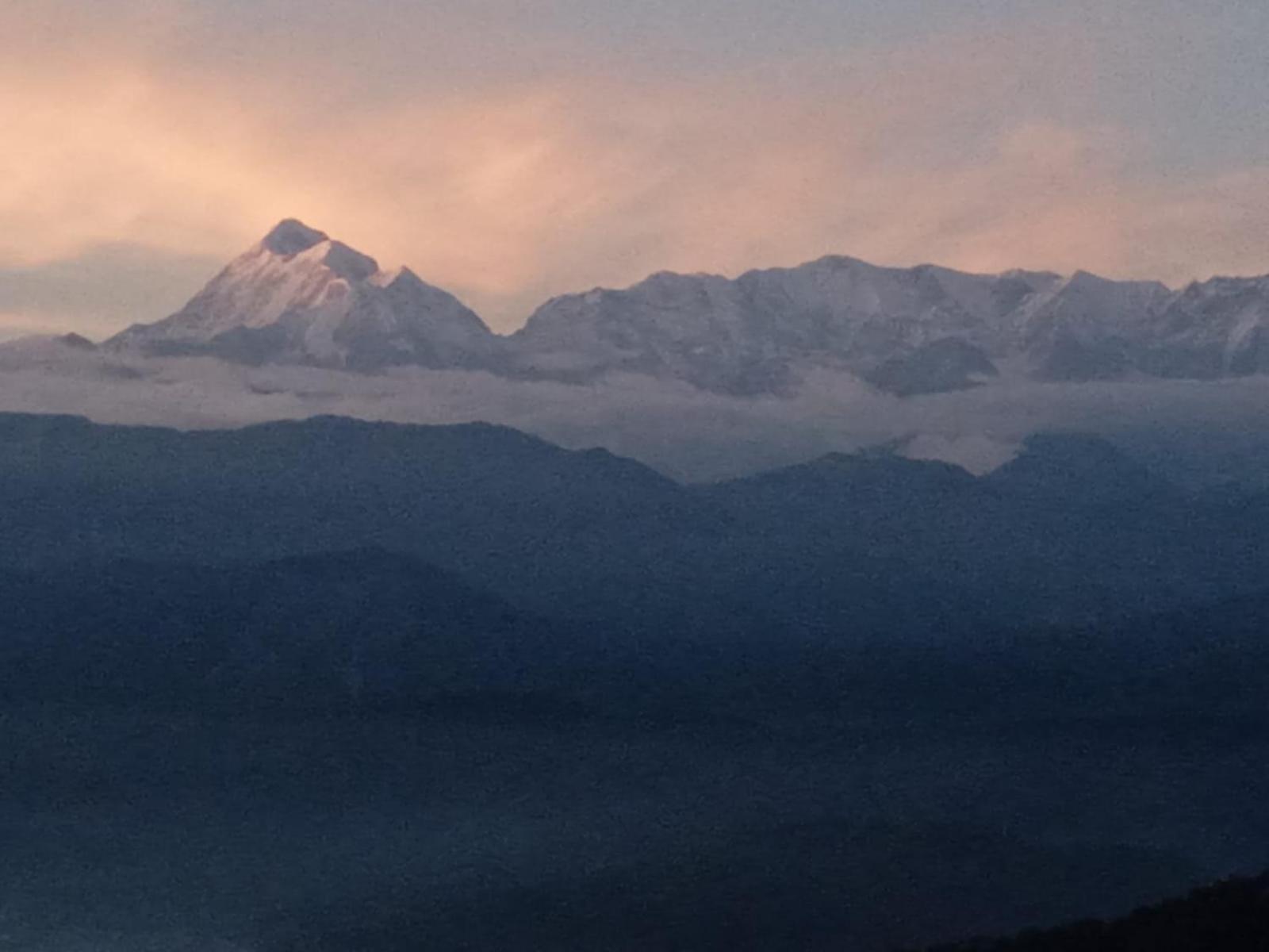 Golden Himalaya Homestay كاوساني المظهر الخارجي الصورة