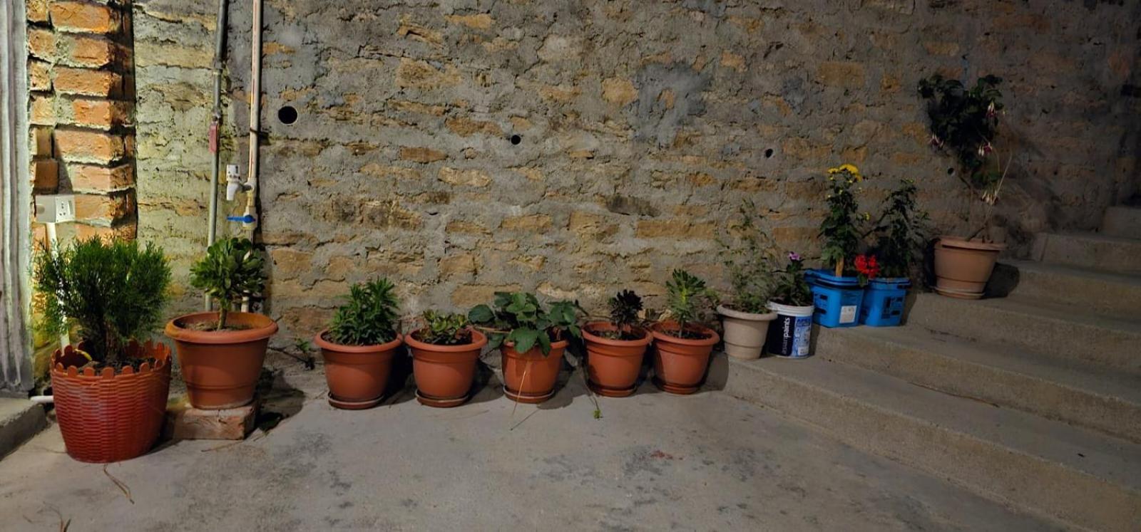 Golden Himalaya Homestay كاوساني المظهر الخارجي الصورة